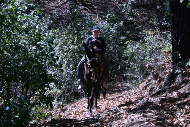 Paseos a caballo